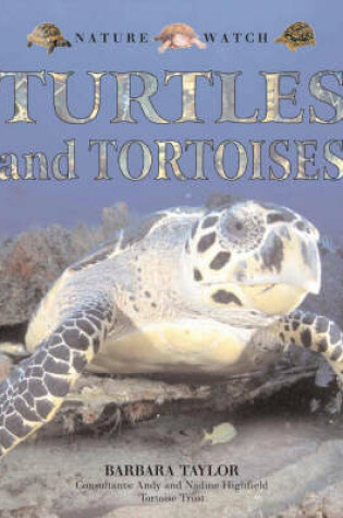 Cover of Turtles and Tortoises