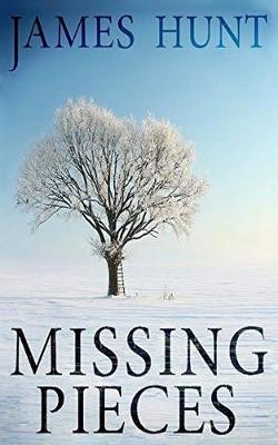 Book cover for Missing Pieces