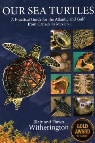 Cover of Our Sea Turtles