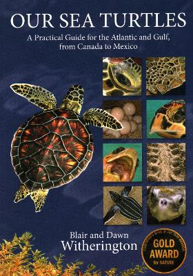 Book cover for Our Sea Turtles