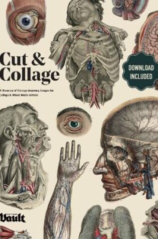 Cover of Cut and Collage A Treasury of Vintage Anatomy Images for Collage and Mixed Media Artists