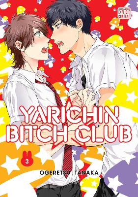 Cover of Yarichin Bitch Club, Vol. 3