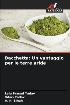 Book cover for Bacchetta