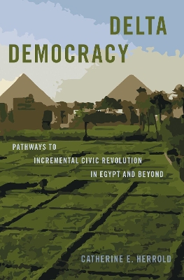 Book cover for Delta Democracy