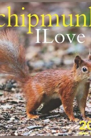 Cover of ILove chipmunk