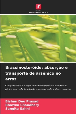 Book cover for Brassinosteróide