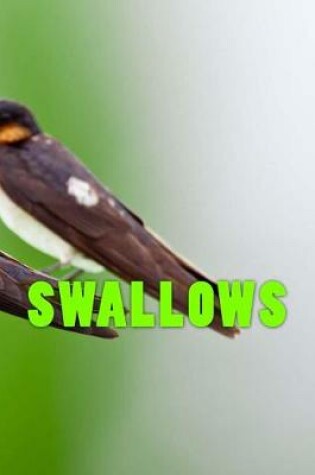 Cover of Swallows