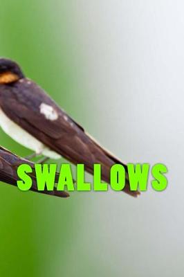 Book cover for Swallows