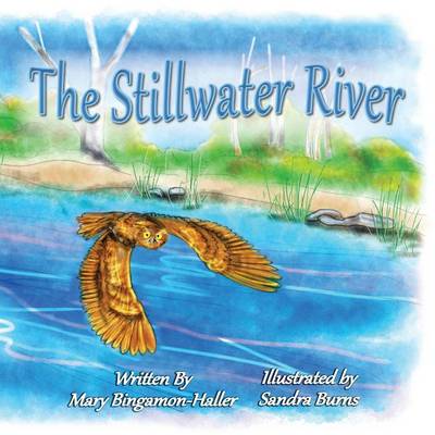 Book cover for The Stillwater River