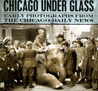 Book cover for Chicago under Glass