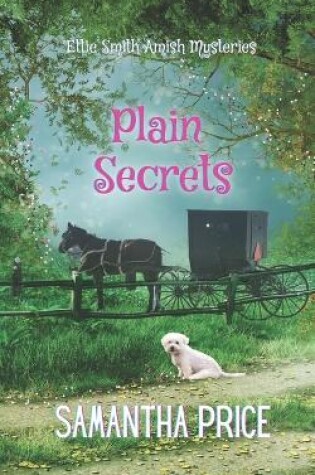 Cover of Amish Mystery