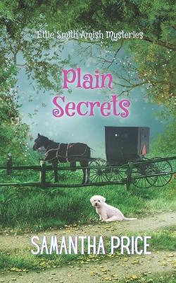 Book cover for Amish Mystery