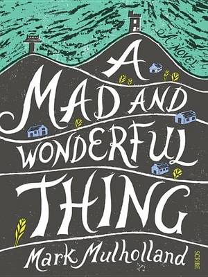 Book cover for A Mad and Wonderful Thing