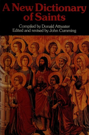 Cover of A New Dictionary of Saints