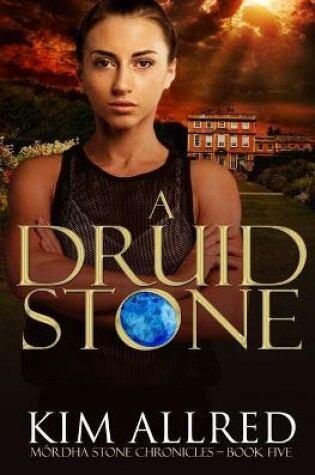 Cover of A Druid Stone