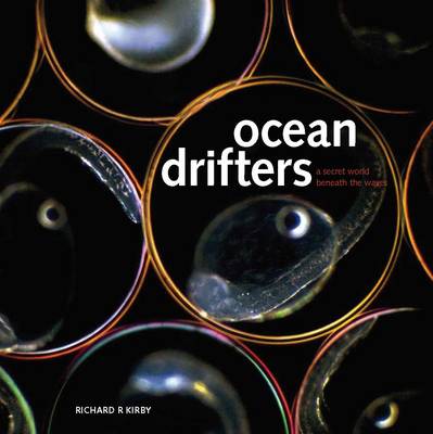 Book cover for Ocean Drifters