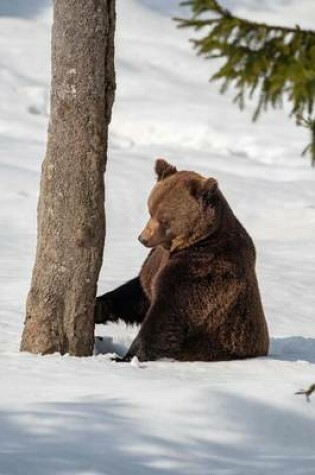 Cover of Brown Bear in the Snow Journal