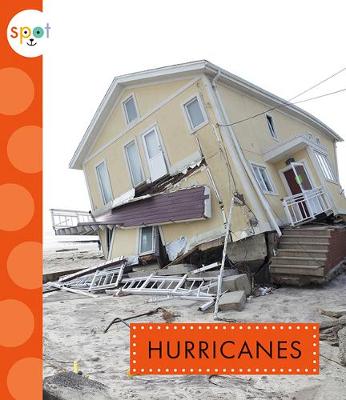 Cover of Hurricanes