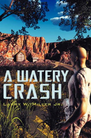 Cover of A Watery Crash