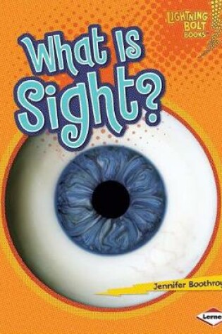 Cover of What Is Sight?