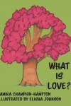 Book cover for What Is Love?