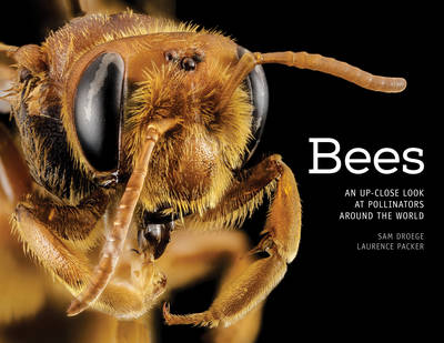 Book cover for Bees