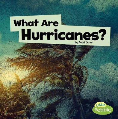 Book cover for What Are Hurricanes?