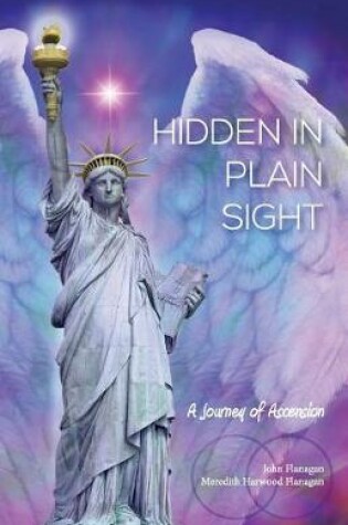 Cover of Hidden in Plain Sight