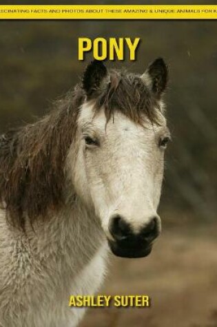 Cover of Pony