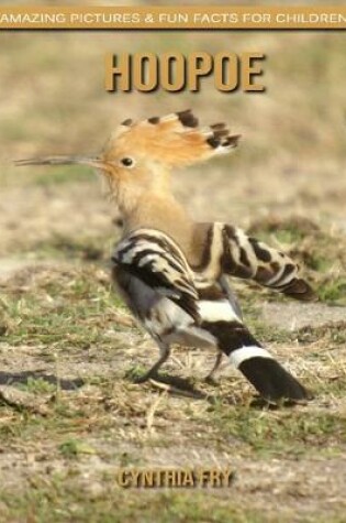 Cover of Hoopoe