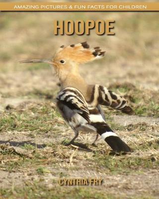 Book cover for Hoopoe