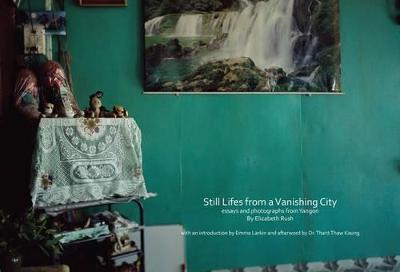 Book cover for Still Lifes from a Vanishing City