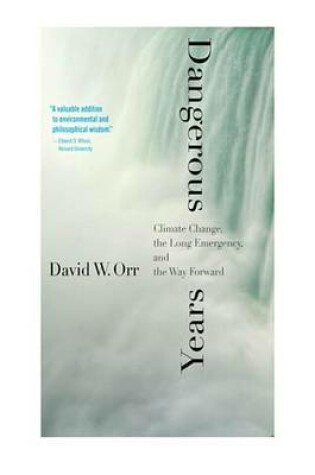 Cover of Dangerous Years