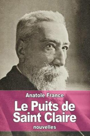 Cover of Le Puits de Saint Claire