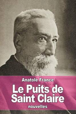 Book cover for Le Puits de Saint Claire