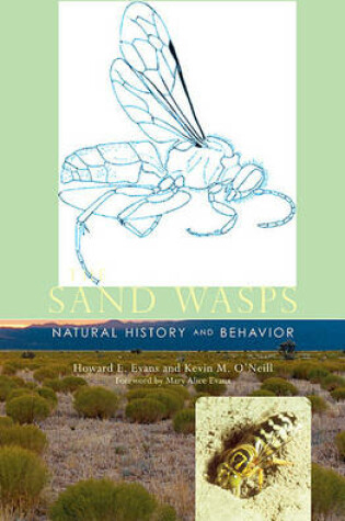 Cover of The Sand Wasps