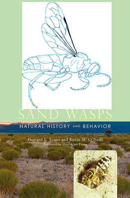 Book cover for The Sand Wasps