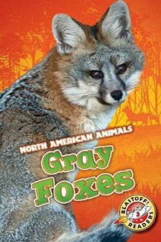 Cover of Gray Foxes