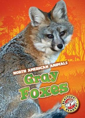 Book cover for Gray Foxes