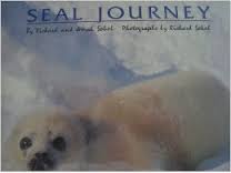 Book cover for Seal Journey