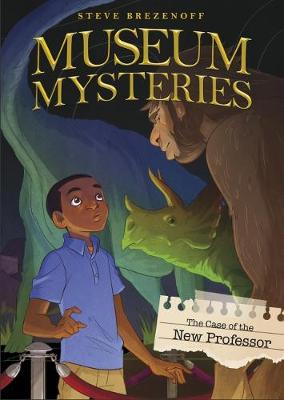Book cover for Museum Mysteries Pack C of 2