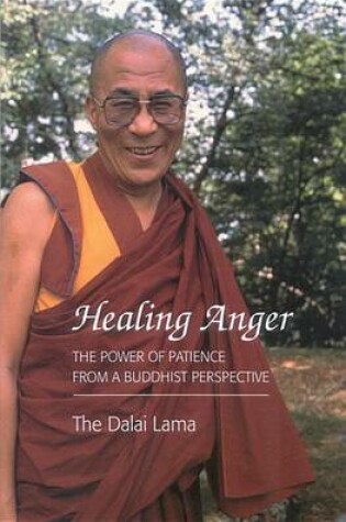 Cover of Healing Anger