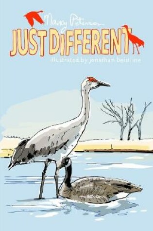 Cover of Just Different