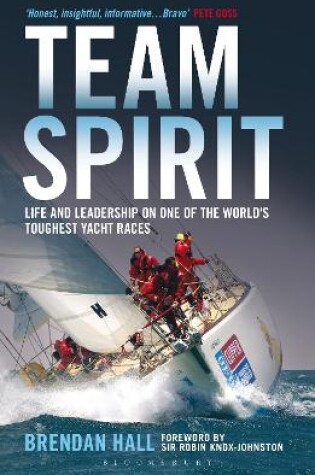 Cover of Team Spirit