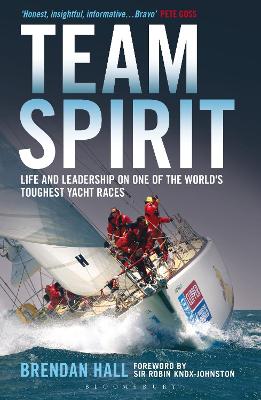 Book cover for Team Spirit