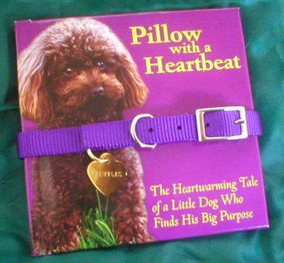 Book cover for Pillow with a Heartbeat