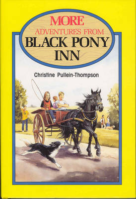 Book cover for More Adventures from Black Pony Inn