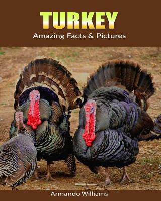 Book cover for Turkey