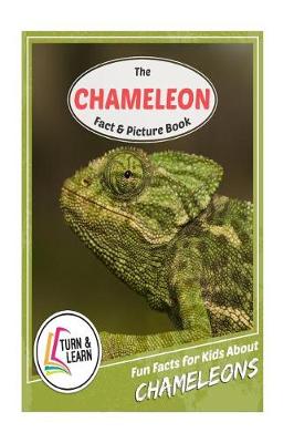 Book cover for The Chameleon Fact and Picture Book