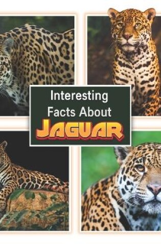 Cover of Interesting Facts About Jaguars